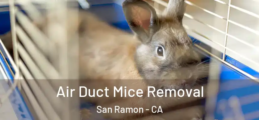 Air Duct Mice Removal San Ramon - CA