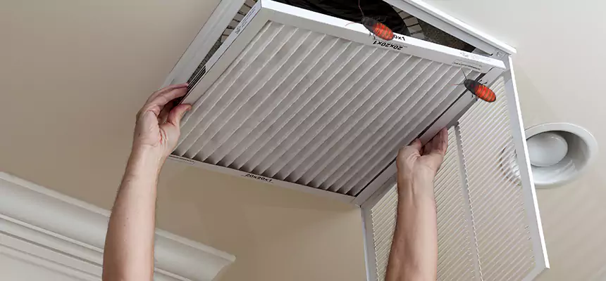 Preventive Cockroach-Proofing for Ducts in San Ramon