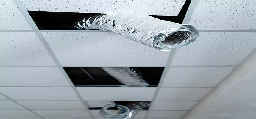 Our Air Duct Pet Hair Removal Services in San Ramon, CA