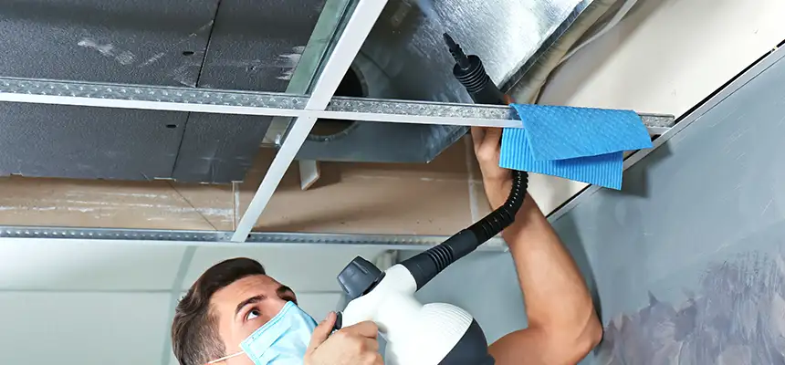 Our Air Duct Rodent Removal Services in San Ramon, CA