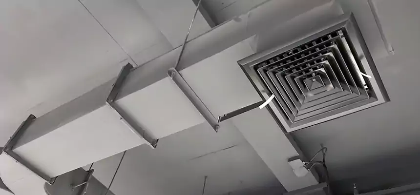 Restorative Allergy Relief Vent Cleaning – Coil, Blower & Housing Detail in San Ramon