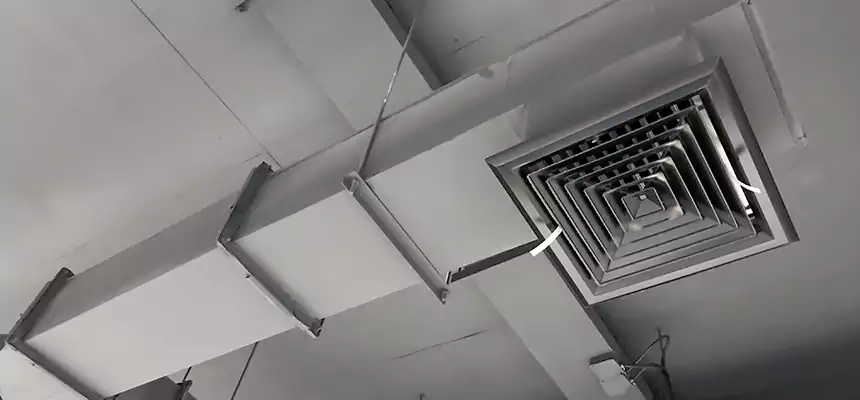 Our Rodent Droppings In Vents Services in San Ramon, CA