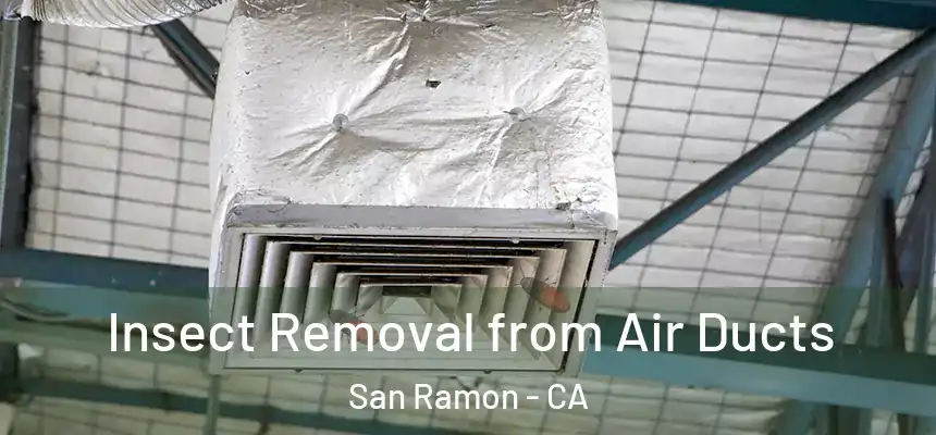 Insect Removal from Air Ducts San Ramon - CA