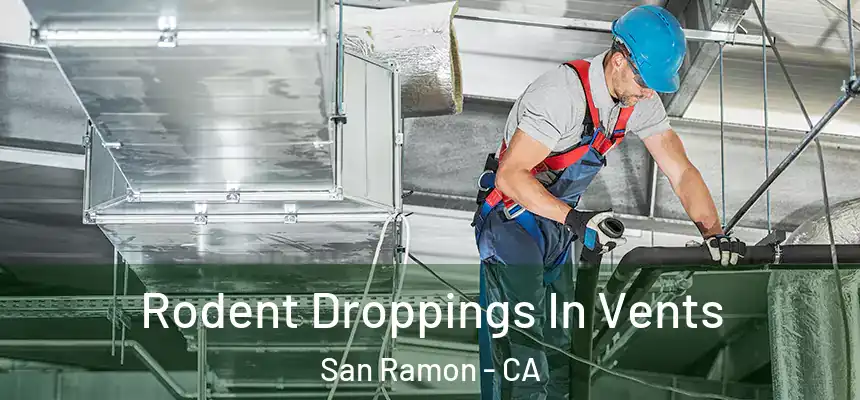 Rodent Droppings In Vents San Ramon - CA