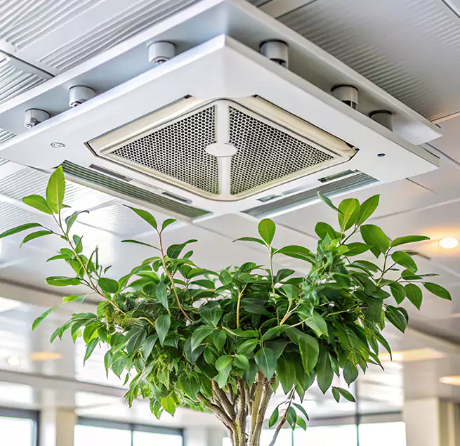 Why Homeowners & Businesses Trust Us in San Ramon, CA