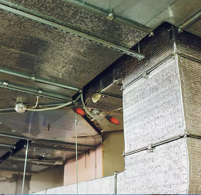 Why Homeowners & Businesses Trust Us San Ramon, CA?