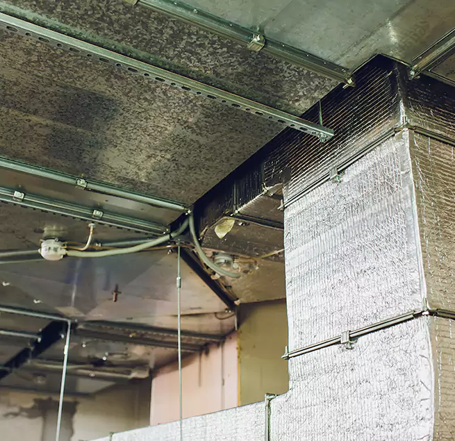 Why Homeowners & Businesses Trust Us in San Ramon, CA?